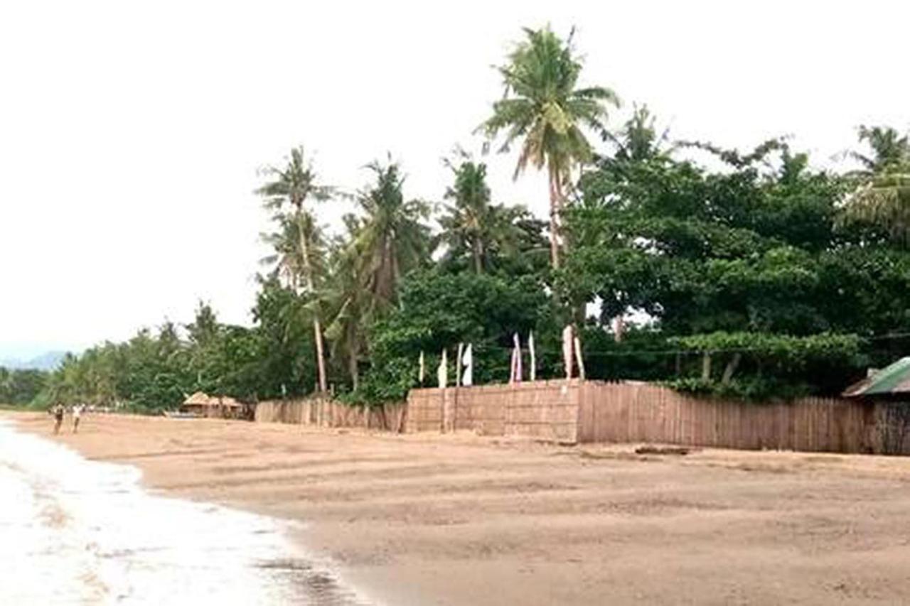 Leizel'S Bed & Breakfast Palompon エクステリア 写真